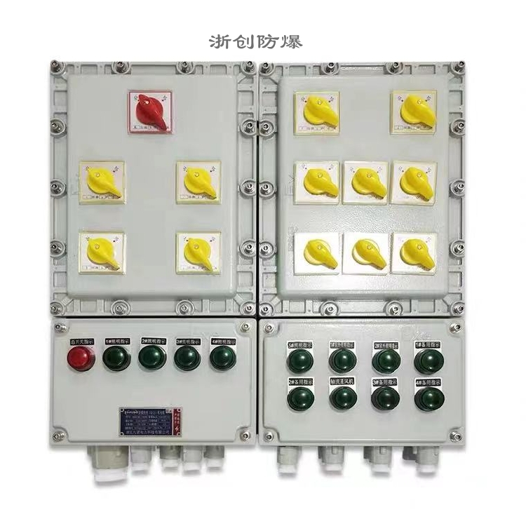 浙創(chuàng)防爆高速攪拌機(jī)控制箱 黔創(chuàng)防爆高速攪拌機(jī)控制箱 廠家定制