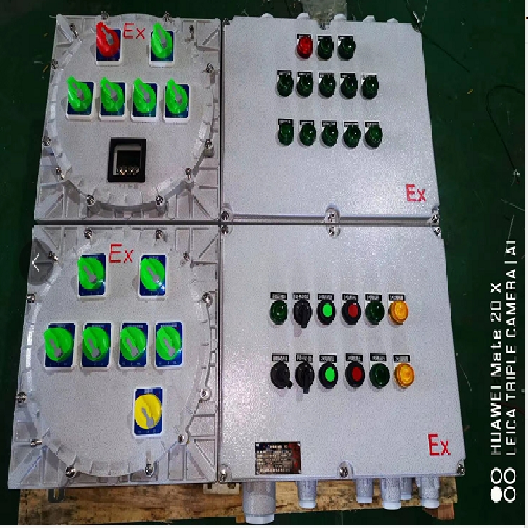 浙創(chuàng)BXM（D）53系列防爆真空泵控制箱 碳鋼防爆溫控儀表檢修箱 粉塵爆炸氣體防爆控制箱