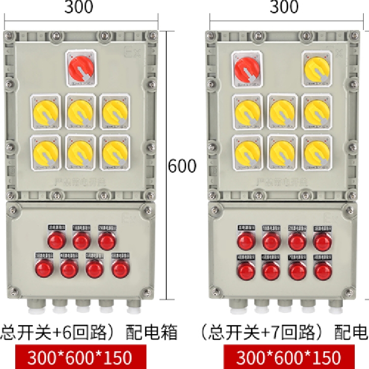 防爆應(yīng)急照明雙電源配電箱