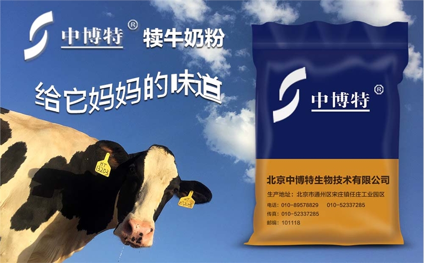 犢牛代乳粉的配方犢牛奶粉在哪可以買到