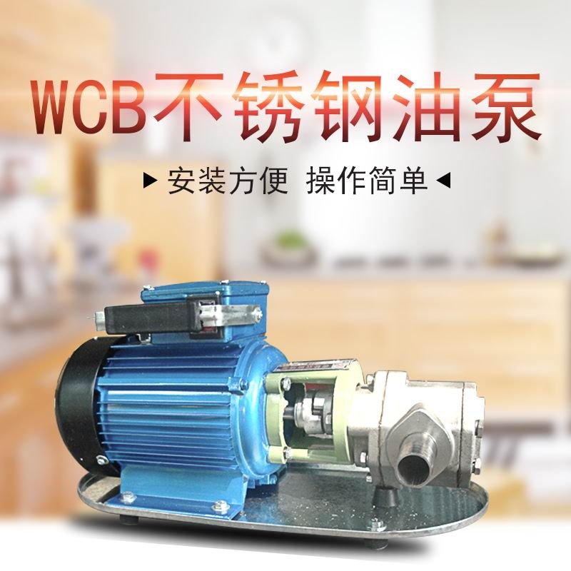 WCB50小型不銹鋼油泵便攜式抽油泵