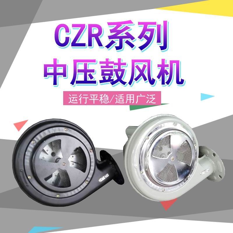 CZR50 100W鼓風(fēng)機(jī)臥式吹風(fēng)機(jī)