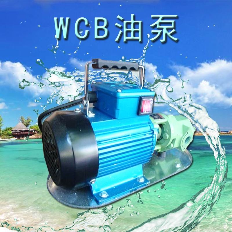 1寸抽油泵WCB50