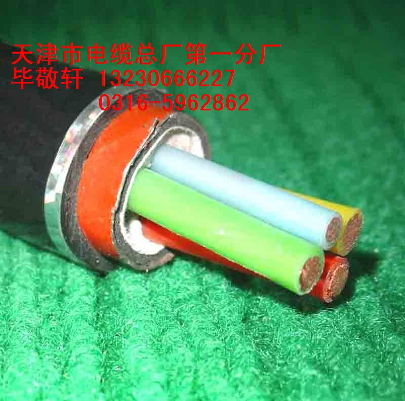 供應HYAC HYA HYAT 80＊2＊0.4 對 通訊電