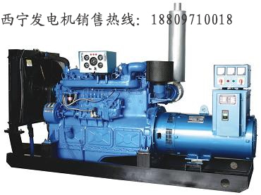 青海發(fā)電機(jī)/西寧發(fā)電機(jī)組/50KW上柴柴油發(fā)電機(jī)組