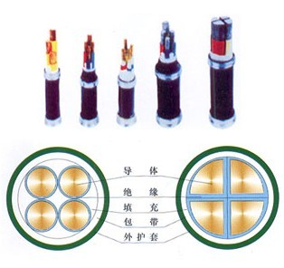 廈門 YJV_銅芯交聯(lián)聚乙烯絕緣聚氯乙烯護(hù)套電力電纜