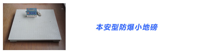 金山防爆電子秤,金山防爆電子磅,上海浦東防爆地磅專賣