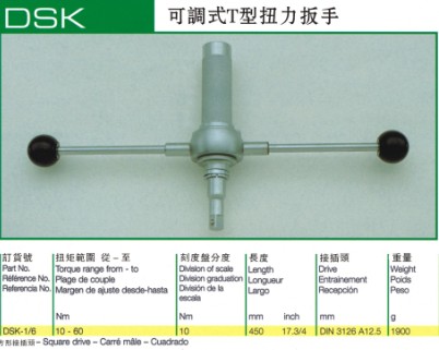 德國薩爾圖斯SALTUS可調(diào)式T型扭力扳手 DSK-1/6