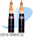 Z R-HPVV(屏蔽型)-300V   300*2*0.5