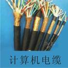 DJYVP22計(jì)算機(jī)電纜DJYPVP22鎧裝計(jì)算機(jī)電纜