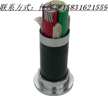 優(yōu)質(zhì)VV22電纜 VV22電力電纜 VV224*4電纜廠家詢盤