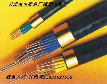 優(yōu)質(zhì)KVVP2電纜優(yōu)質(zhì)KVV22控制電纜KVVP控制電纜價格