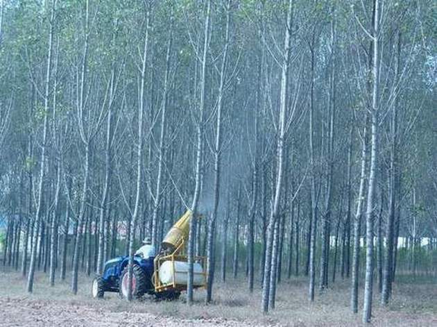 農(nóng)林植保高效噴霧機