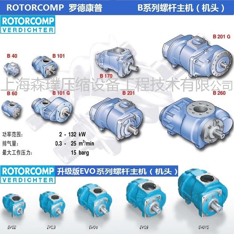 羅德康普ROTORCOMP螺桿主機(jī) B40 B60 B101 B170 B201 B260 機(jī)頭