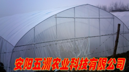 大棚骨架價(jià)格 加工大棚建設(shè) 溫室大棚骨架