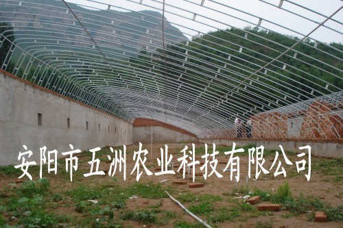 新型鋼管鍍塑大棚視頻 新型多功能鋼管鍍塑大棚建設(shè)