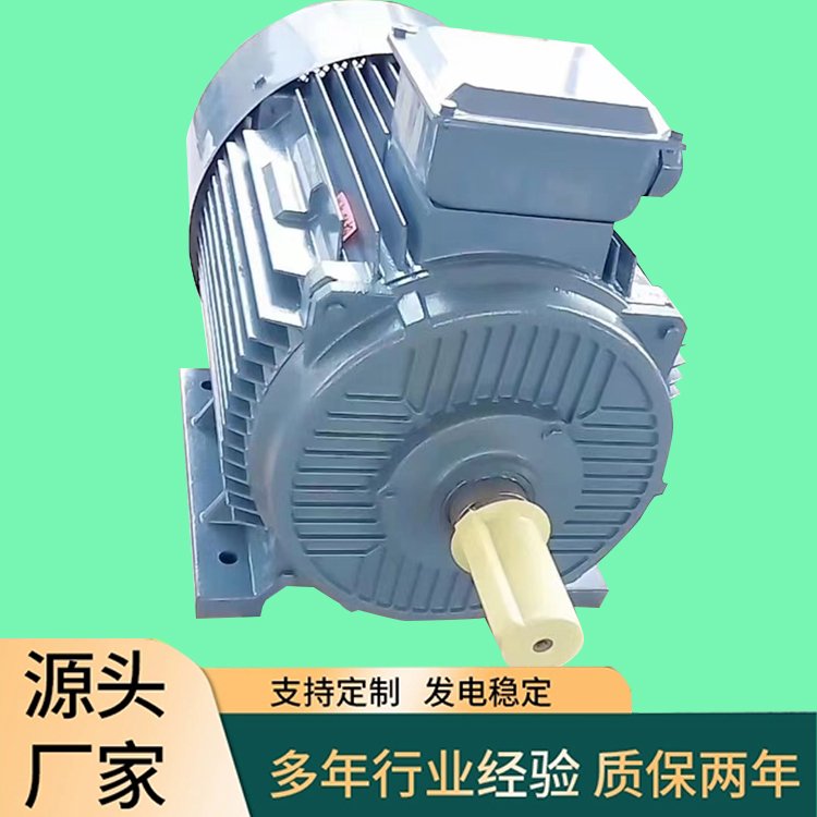 100KW380V稀土永磁同步交流防水發(fā)電機(jī)低轉(zhuǎn)速水力發(fā)電異形電機(jī)