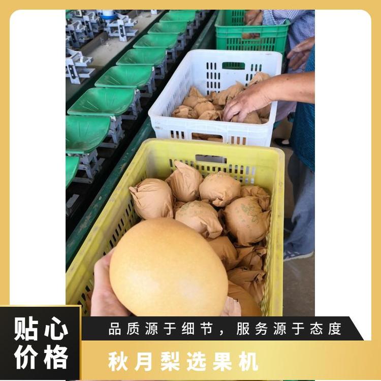 果蔬加工廠設(shè)備,冷凍食品廠休閑秋月梨選果機