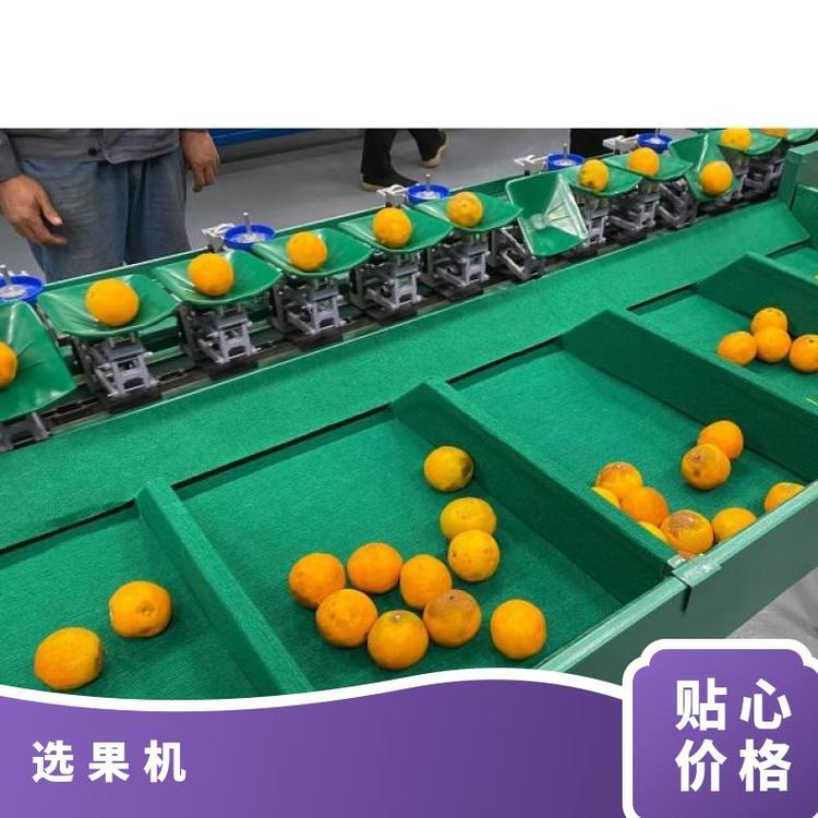 釋迦果選果機，水果分選機果蔬加工廠設(shè)備型號XGJ-SZ產(chǎn)品用途