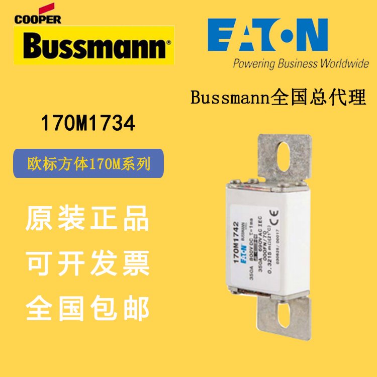 170M1734bussmann進(jìn)口熔斷器bussman熔斷充電樁，儲(chǔ)能直流用