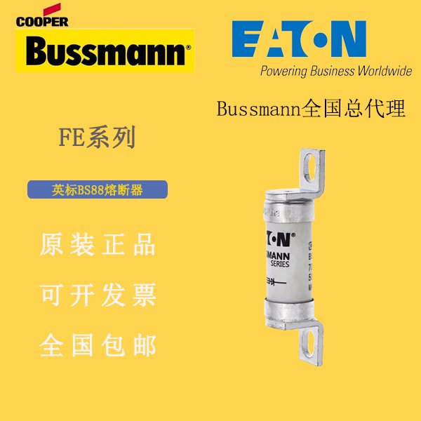 BUSSMANN熔斷器100FEBS88熔斷器690V100A