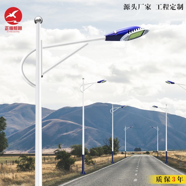 LED市電路燈市政工程8米10米單臂道路燈定制正翔ZXLD013