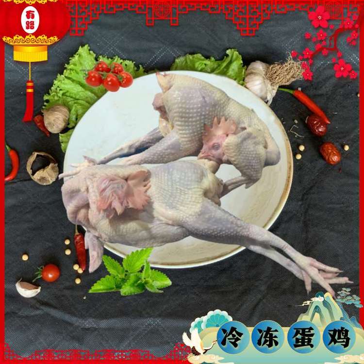 銷售白條雞6只到14只_有路食品_老母雞_工廠自營源產(chǎn)貨源