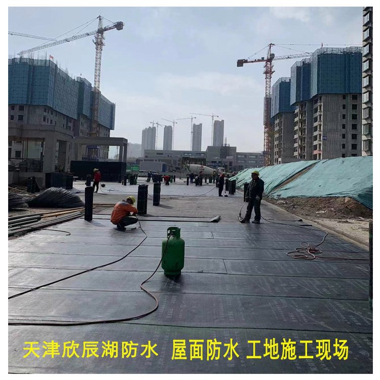 樓盤房屋建筑防水工程欣辰湖卷材材料生產(chǎn)定制面積鋪設(shè)