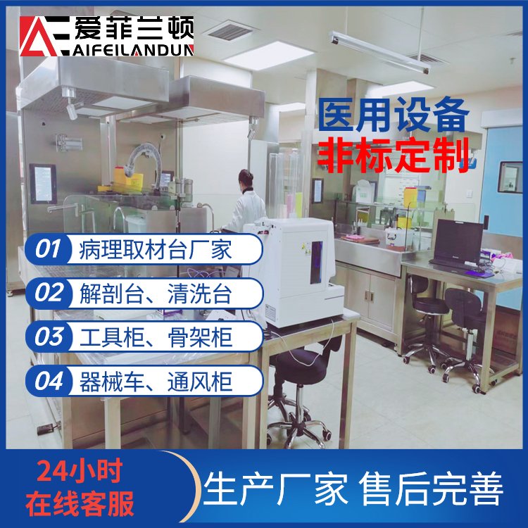 新風型病理升降生物安全取材臺不銹鋼取材工作臺生產加工愛菲蘭頓