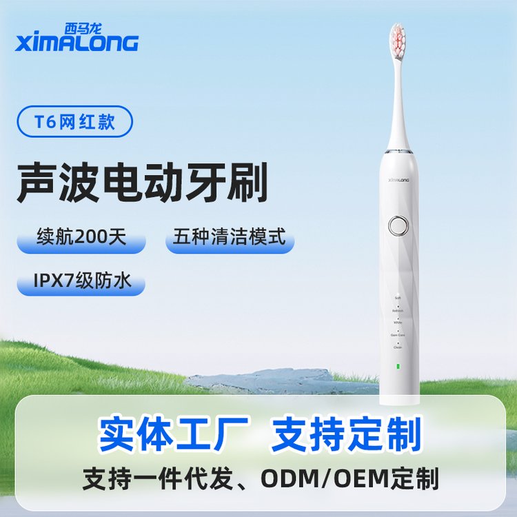 充電型電動(dòng)牙刷加工西馬龍T6網(wǎng)紅款電動(dòng)式牙刷生產(chǎn)廠家