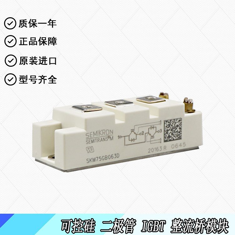 SEMIKRON西門康賽米控IGBT模塊SKM100GAR123D