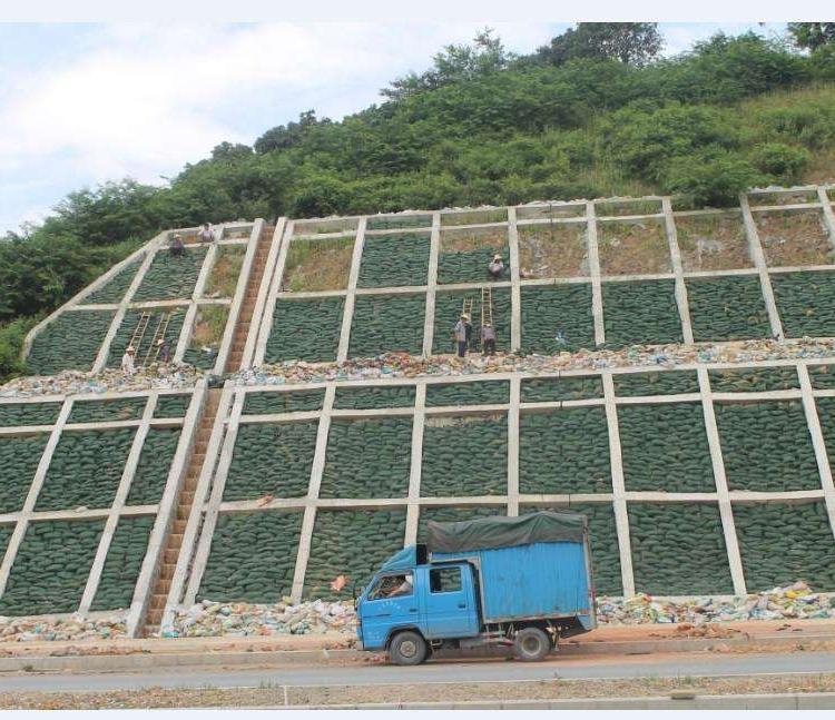 生態(tài)袋廠家路易達型號40*80cm質(zhì)量好施工簡單可提供樣品