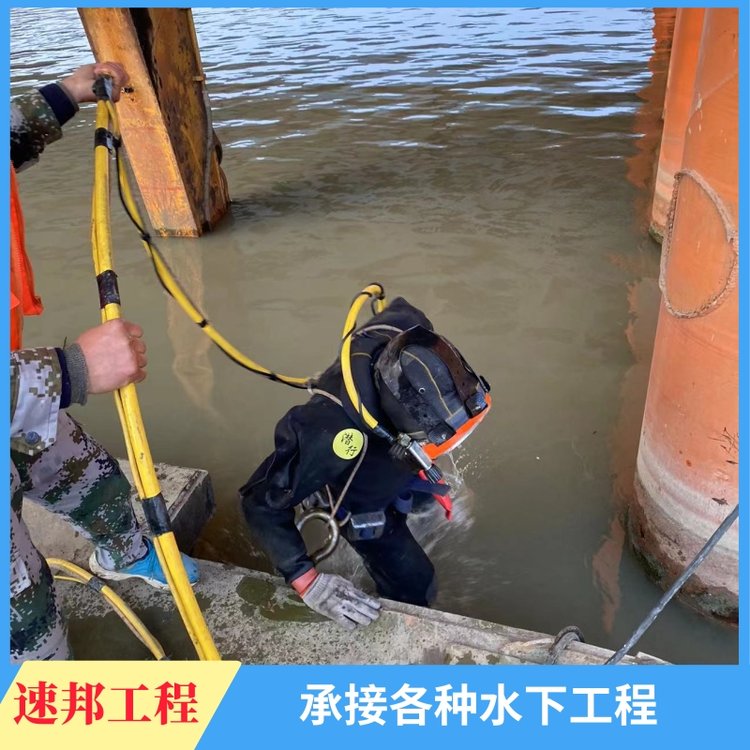 株洲市電站水庫閘門檢查維修聯(lián)系潛水員蛙人水下堵漏施工公司