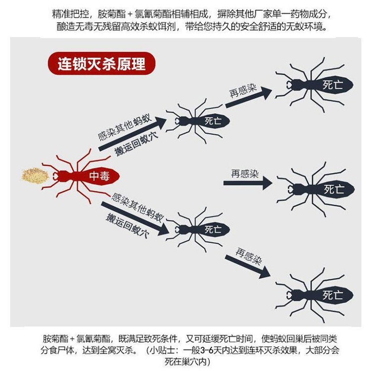 螞蟻藥批發(fā)廠家家用無毒一窩端室內(nèi)強(qiáng)力清殺驅(qū)除螞蟻全窩端