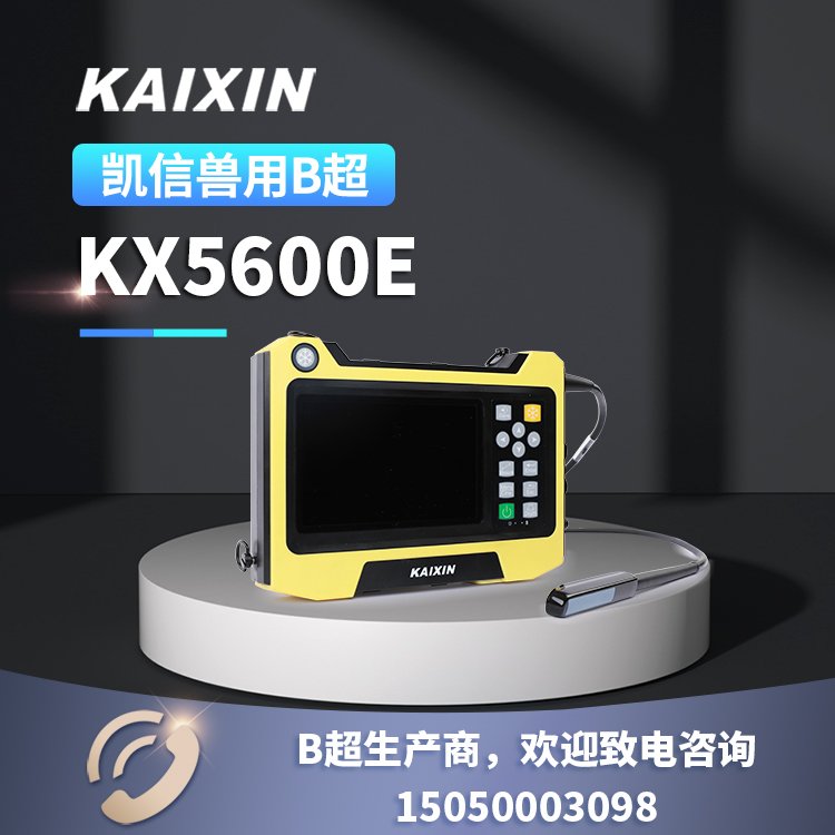 凱信便捷式KX5600E馬用B超機牛用測孕儀動物孕檢設備