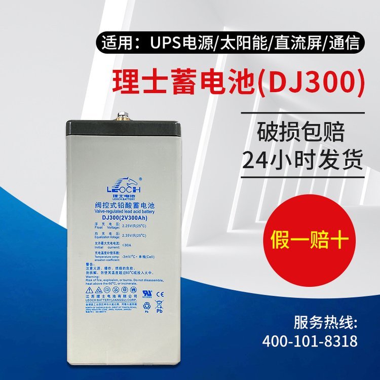 理士蓄電池DJ300直流屏UPS電源EPS電源外接電池免維護(hù)鉛酸蓄電池