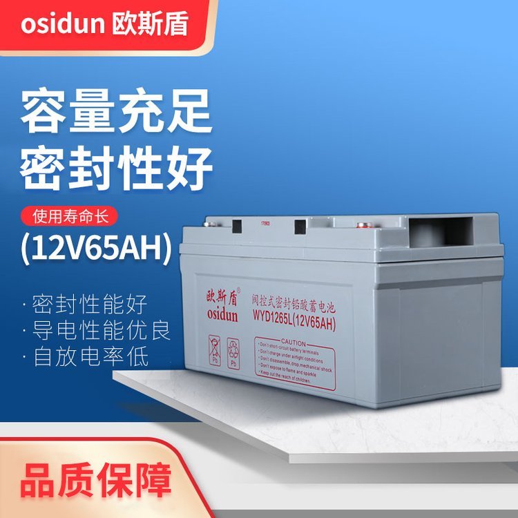 歐斯盾閥控式鉛酸免維護蓄電池UPS電池WYD1265L12V65AH