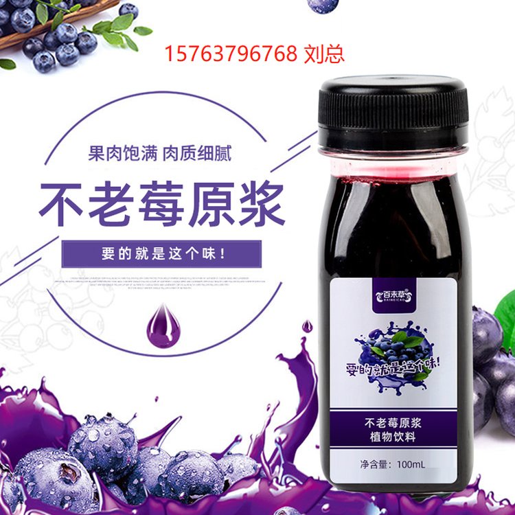 不老莓原漿植物飲品瓶裝不老莓汁批發(fā)