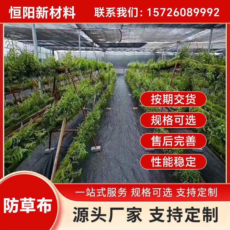 果樹園林中草藥種植防草布保濕透氣耐用可定制尺寸果園黑色除草布