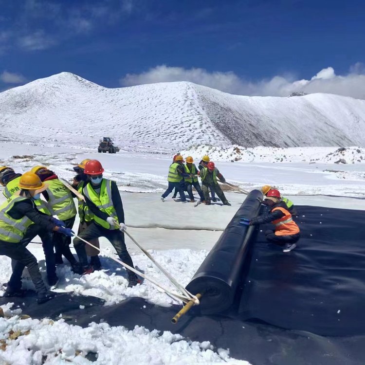 恒陽免費寄樣研發(fā)團(tuán)隊抗撕裂蓄水池土工膜藕池防滲膜