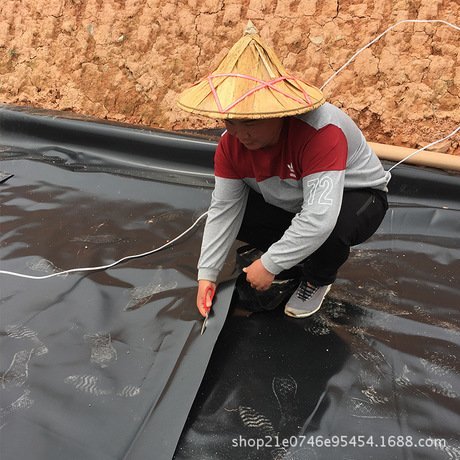 養(yǎng)殖豬場隔水膜化糞池防滲膜沼液池黑膜沼氣收集土工膜氧化塘HDPET土工膜廠家