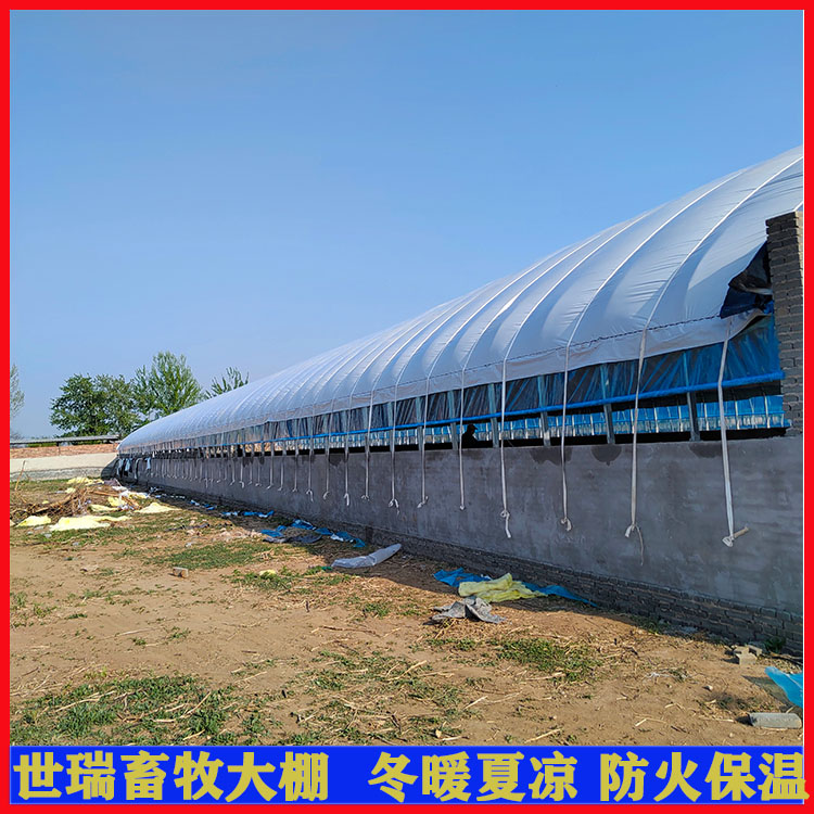 新型全自動(dòng)養(yǎng)豬棚建造養(yǎng)豬舍大棚建設(shè)黑豬養(yǎng)殖棚搭建育肥豬舍安裝