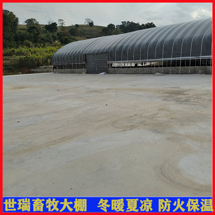 新型養(yǎng)鴨大棚施工畜牧養(yǎng)鴨棚建設(shè)鴨舍大棚搭建籠養(yǎng)肉鴨大棚建造