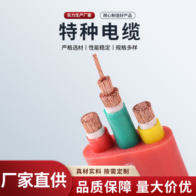 經(jīng)久耐用特種電纜用于消防系統(tǒng)福博斯TSYV2G-75-5 RVV2*1.0