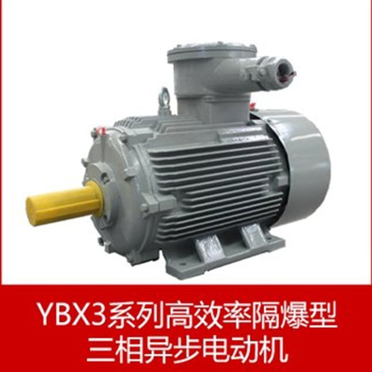 全新一代YBX3系列隔爆型三相異步電動(dòng)機(jī)WOLONG電氣防爆電機(jī)