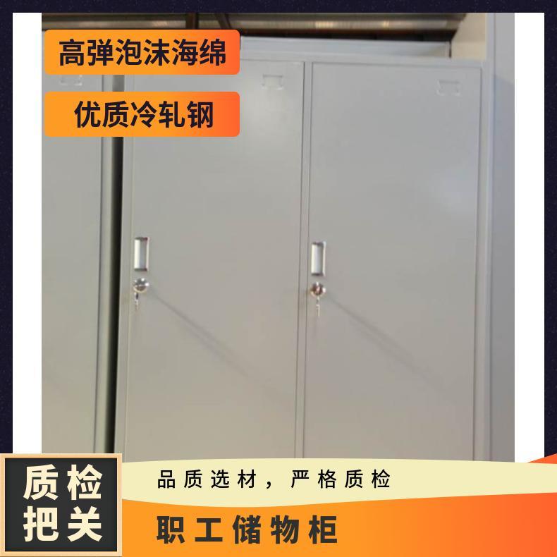 鐵皮二門更衣柜2門尺寸1850*900*500可定制車間白靜電噴涂