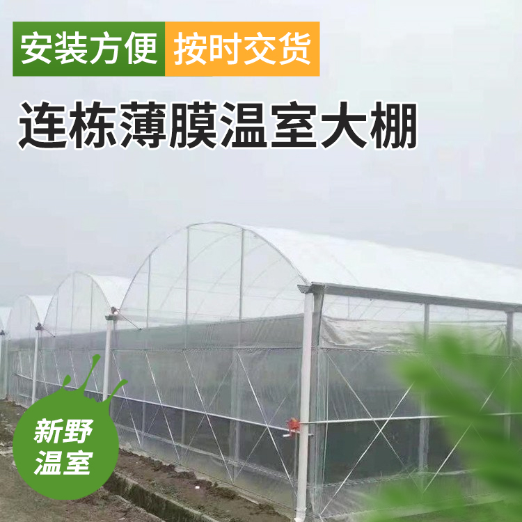 智能連棟薄膜溫室養(yǎng)殖大棚建設成本低新野工程承建