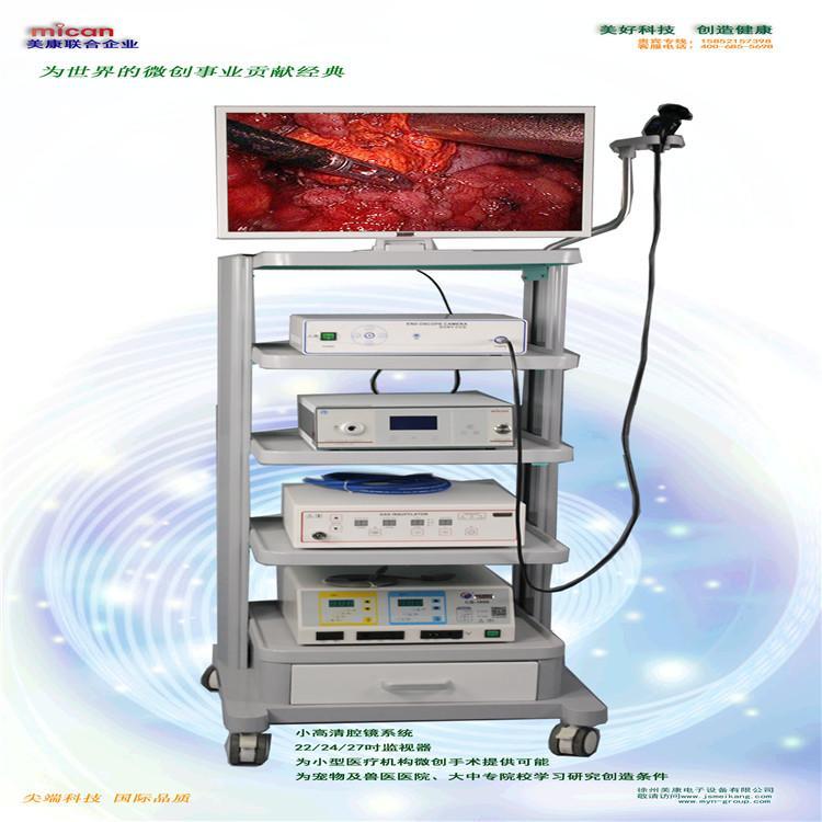 教學(xué)用腹腔鏡學(xué)校研究所用腹腔鏡動物內(nèi)窺鏡手術(shù)系統(tǒng)