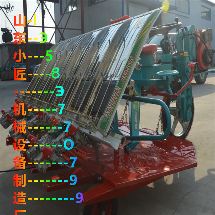 4行汽油機(jī)水稻植機(jī)視頻全自動高速6行乘坐式插秧機(jī)圖片