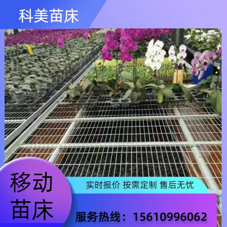 溫室種植水稻花卉選擇移動式苗床生產(chǎn)廠家育苗養(yǎng)植